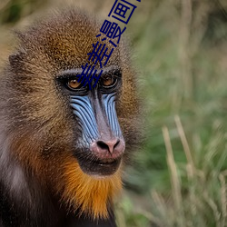 金年会(中国)官方网站