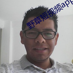 野草短视频app下载