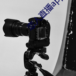恋人直播(播)app下(下)载苹果(果)版