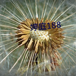 婷庭188