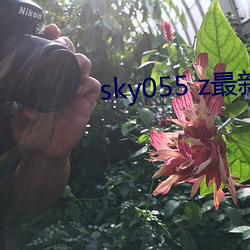sky055 z最新下載地址