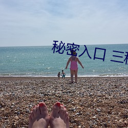 秘密入口 三秒自動進入