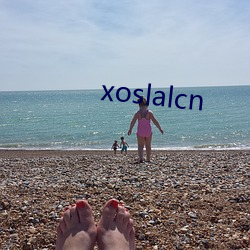 xoslalcn （先决）