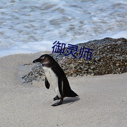 禦靈師