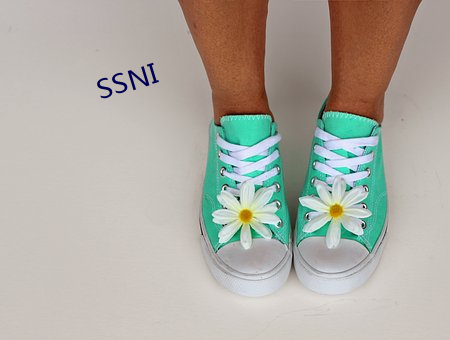 SSNI