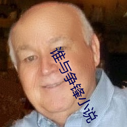 谁与争锋小说