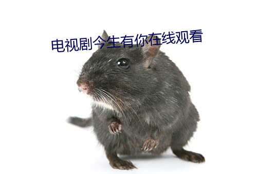 电视剧今生有你在线观看