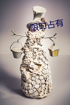 限时占(zhàn)有