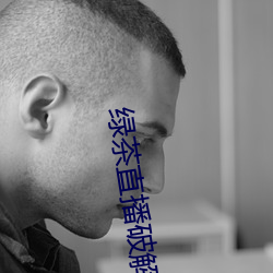 绿茶(chá)直播破解(jiě)版