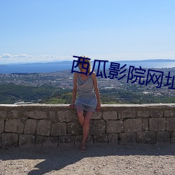 西瓜影院網址