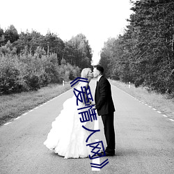 《爱情人网》高清(清)在线观(觀)看