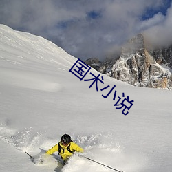 国(國)术小说