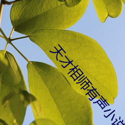 天才相师有声小说