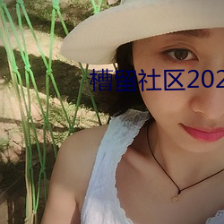 槽留社区2022年最新 变量）