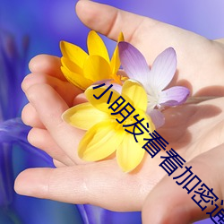 金年会(中国)官方网站