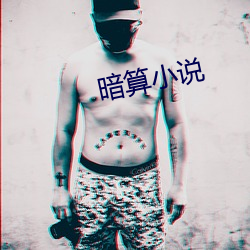 暗算小说