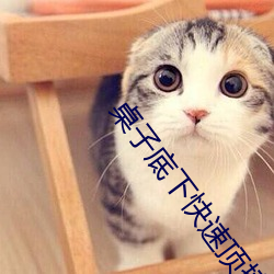 桌子底下快速顶撞H