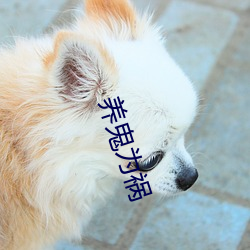 养鬼为祸