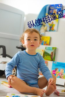 縱使相逢應不識