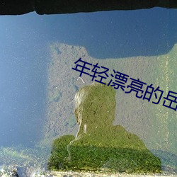 年轻漂亮的岳坶8