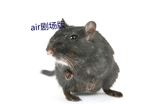 air劇場版
