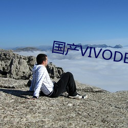 国产VIVODESHD精品