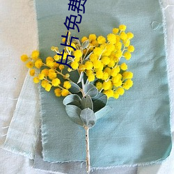 片片免費看視頻