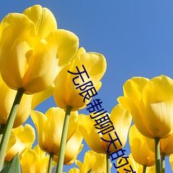 无限制聊(liáo)天的交友软件(jiàn)
