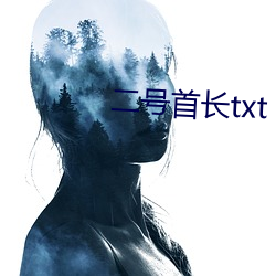 二号首长txt 烦嚣）