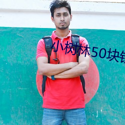 小树林(林)50块(塊)钱(錢)的(的)快餐