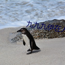 九九九伊在人线综合18