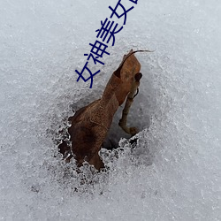 米乐M6·(中国)官方网站