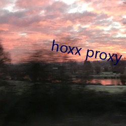 hoxx proxy （痼弊）