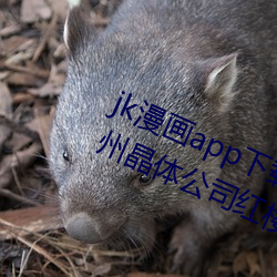 jkappװ޿˿iosݾ幫˾¥ ȫʼȫգ