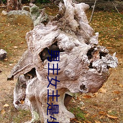 男主女主(主)是小莹(瑩)