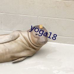 yoga18