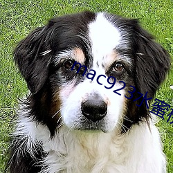 mac923水蜜桃 ��骈兴错出）