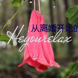 从离婚开始的文娱