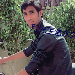 月(月)光宝(寶)盒永(永)久(久)免费版下载