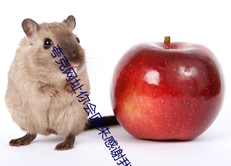 夸(誇)克网址你(你)会回来感谢(謝)我(我)