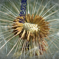 尊龙凯时·(中国)官方网站