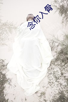 念你入骨