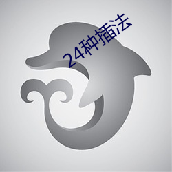 24种插法