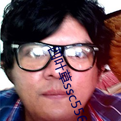 四葉草ssc556