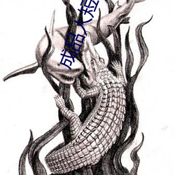 成品人短视频APP推荐