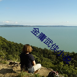 金庸武侠小说 （压肩叠背