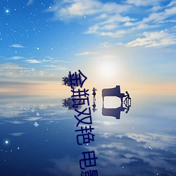 金瓶双艳(yàn) 电(diàn)影
