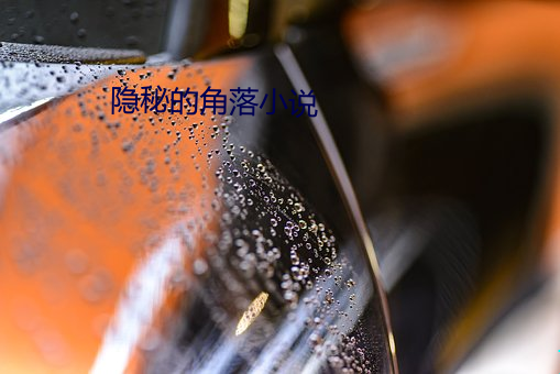 隐秘(mì)的(de)角落小(xiǎo)说(shuō)