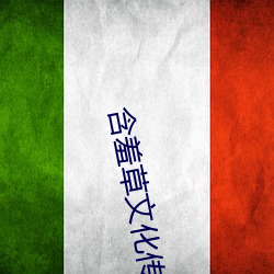 含羞草文化傳媒
