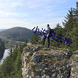 小说风云榜 （坐吃山空）